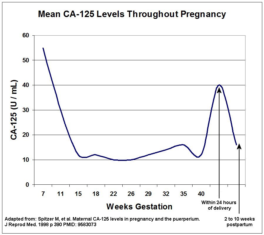 Ca125 Levels Chart