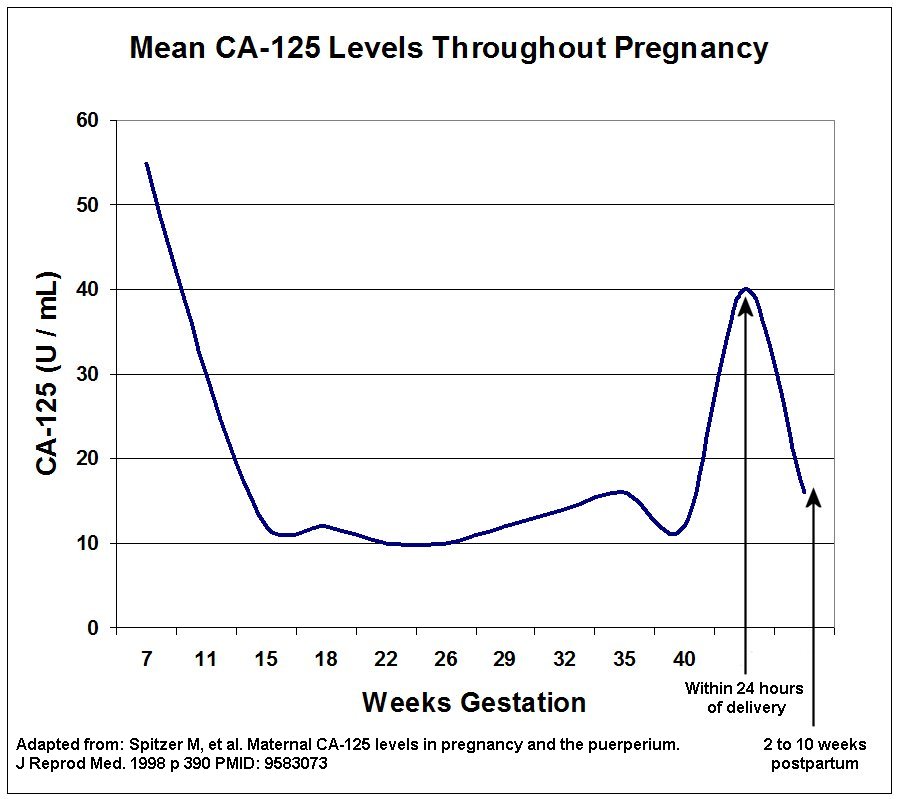 Ca 125 Levels Chart