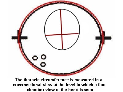 Normal Fetal Biometry Chart