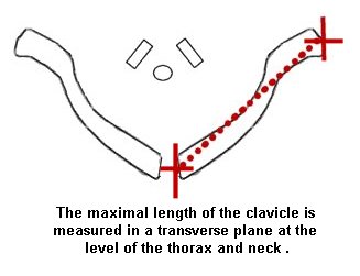 Normal Fetal Biometry Chart