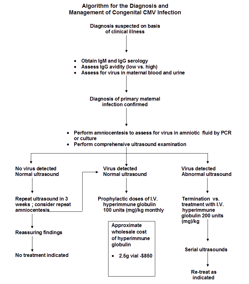 Diagnosis And Management Of Cmv Infection In Pregnancy