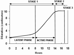 Phases Of Labor Chart